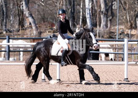 DRESSAGE, JEUNESSE, PONEY : dressage sur invitation des jeunes événement sur un poney dans les îles Åland, Finlande. Avril 2023. Banque D'Images