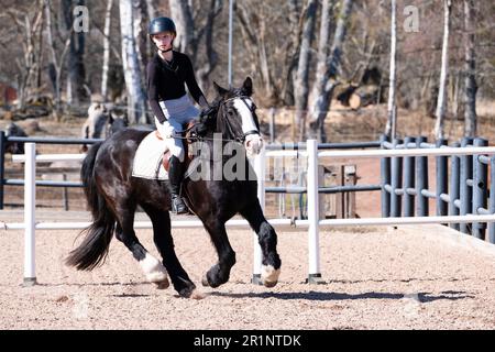 DRESSAGE, JEUNESSE, PONEY : dressage sur invitation des jeunes événement sur un poney dans les îles Åland, Finlande. Avril 2023. Banque D'Images