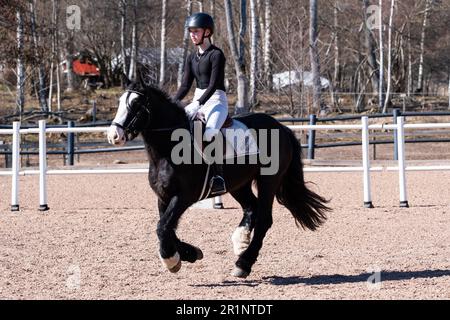 DRESSAGE, JEUNESSE, PONEY : dressage sur invitation des jeunes événement sur un poney dans les îles Åland, Finlande. Avril 2023. Banque D'Images