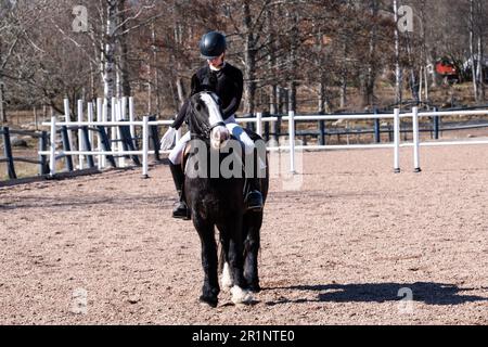 DRESSAGE, JEUNESSE, PONEY : dressage sur invitation des jeunes événement sur un poney dans les îles Åland, Finlande. Avril 2023. Banque D'Images