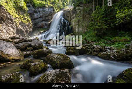 Chute d'eau de Gollinger, chutes de Schwarzenbach sur le Schwarzbach, longue exposition, Tennengau, Salzburger Land, Autriche Banque D'Images