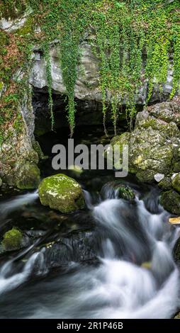 Chute d'eau de Gollinger, chutes de Schwarzenbach sur le Schwarzbach, longue exposition, Tennengau, Salzburger Land, Autriche Banque D'Images