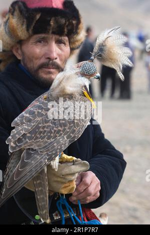 faucon de Saker, faucon de Saker (merrug de Falco), faucon de Saker, faucon de Saker, faucon de Falco, Oiseaux de proie, animaux, oiseaux, chasseur kazakh avec saker à capuchon Banque D'Images