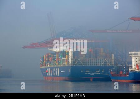 Navire à conteneurs CMA CGM Marco Polo, dense FOG, Elbe, chargement de conteneurs, terminal à conteneurs Burchardkai, Port de Hambourg, Hambourg, Allemagne Banque D'Images