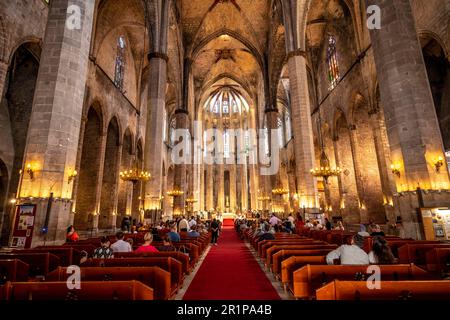 Vue intérieure de la cathédrale de Barcelone, la Catedral, Catedral de la Santa Creu i Santa Eulalia, Barcelone, Catalogne, Espagne Banque D'Images