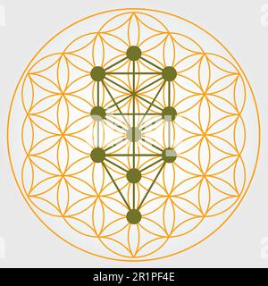 Symbole de la fleur de vie en jaune et vert, roue de l'énergie de l'univers cosmique, arbre de Séphiroth, Kabbalah Illustration de Vecteur