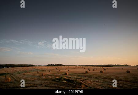 France, Normandie, Yport, balles de paille sur un champ dans la lumière du soir Banque D'Images