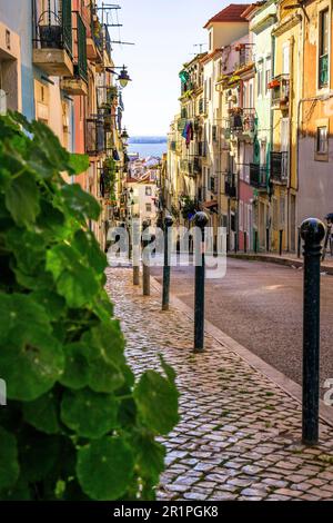 Rues étroites et maisons anciennes dans la vieille ville d'Alfama. Vie urbaine dans une ville avec des bâtiments historiques et beaucoup de culture. Lisbonne, Portugal Banque D'Images