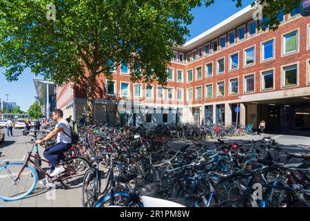 Münster, vélos garés devant la gare Hauptbahnhof de Münsterland, Rhénanie-du-Nord-Westphalie, Allemagne Banque D'Images