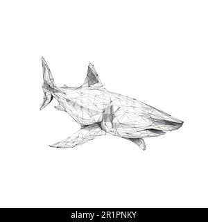 Le grand requin blanc isolé sur fond blanc. Illustration de Vecteur