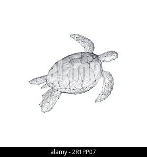 Tortue de mer en filaire isolée sur fond blanc. Vie marine Illustration de Vecteur