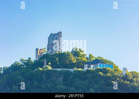 Königswinter, colline de Drachenfels en montagne Siebengebirge avec château de Drachenfels dans la région de Rhein-Sieg, Rhénanie-du-Nord-Westphalie, Allemagne Banque D'Images