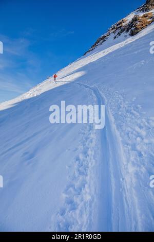 Autriche, Tyrol de l'est, vallée de Villgraten, ski alpiniste sur le chemin du sommet de Marchkinkele (Cornetto di condine), montagnes de Villgraten, Alpes de Tauern de l'Ouest Banque D'Images