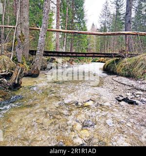 Passerelle sur le ruisseau sans nom dans la région de Kranzberg près de Klais Banque D'Images