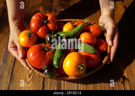 Les mains des femmes tiennent un panier avec des légumes frais. Il y a des tomates mûres et des concombres dans le panier. Banque D'Images