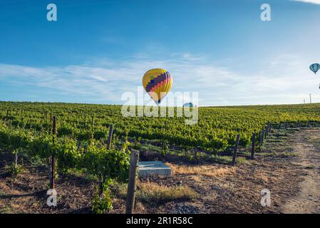 Vue panoramique sur les vignobles de Temecula, Californie au printemps. Banque D'Images