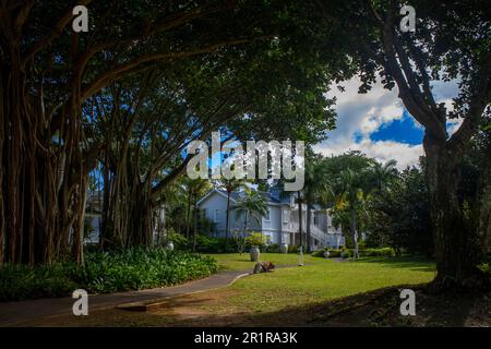 Heritage le Telfair hôtel de luxe cinq étoiles dans le sud de l'île Maurice à la plage de Bel ombre, île Maurice. Banque D'Images