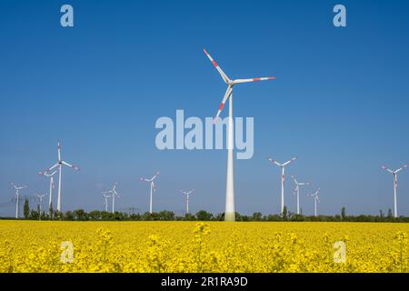 Éoliennes dans un champ de canola floraison vu en Allemagne Banque D'Images