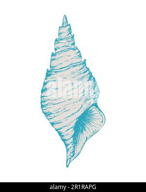 Bleu coquillage, coquillages, océan nature eau vecteur sous-marin. Gravure nautique dessinée à la main d'estampes nautiques isolées. Illustration vectorielle Illustration de Vecteur