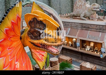 Des répliques de dinosaures géants exposées au zoo tropical de Berkenhof, parc d'attractions et d'animaux près de Kwadendamme, Zeeland, pays-Bas Banque D'Images