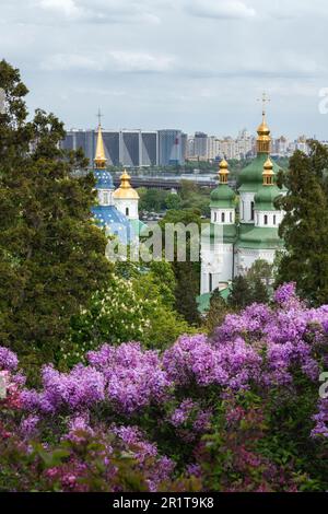 Vue sur la rive gauche de la ville de Kiev depuis le jardin botanique avec lilas en fleurs. Concentrez-vous sur les bâtiments de grande hauteur Banque D'Images