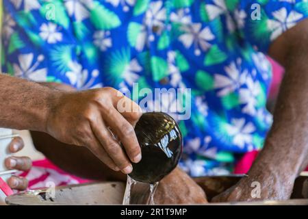 Fidji, Lautoka, village des hautes terres de Yavuna. Cérémonie traditionnelle de kava. Trempez de l'eau de kava avec de la noix de coco. Banque D'Images