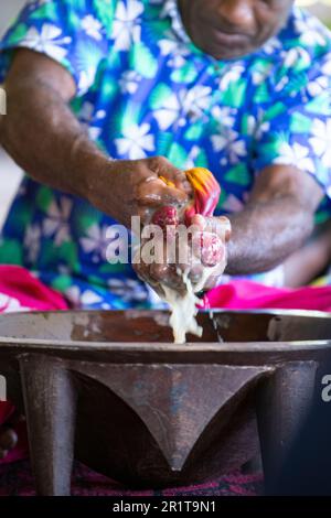Fidji, Lautoka, village des hautes terres de Yavuna. Cérémonie traditionnelle de kava. Presser la kava dans un bol en bois. Banque D'Images