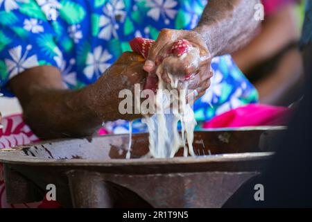 Fidji, Lautoka, village des hautes terres de Yavuna. Cérémonie traditionnelle de kava. Presser la kava dans un bol en bois. Banque D'Images