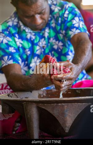 Fidji, Lautoka, village des hautes terres de Yavuna. Cérémonie traditionnelle de kava. Presser la kava dans un bol en bois. Banque D'Images