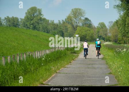 Cyclistes sur le chemin de Papenburg à Leer au printemps. Tiré du printemps avec une vue sur l'immensité de l'Emsland et la digue de l'EMS dans le nord Banque D'Images