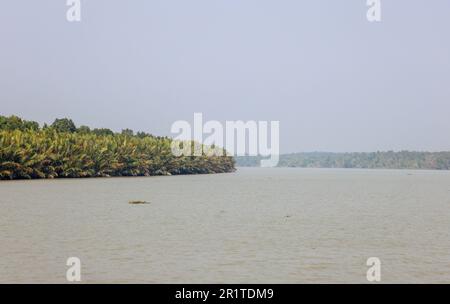 Sundarbans est un delta forestier marécageux d'une superficie d'environ 10 200 km carrés en Inde et au Bangladesh. Cette photo a été prise du Bangladesh. Banque D'Images