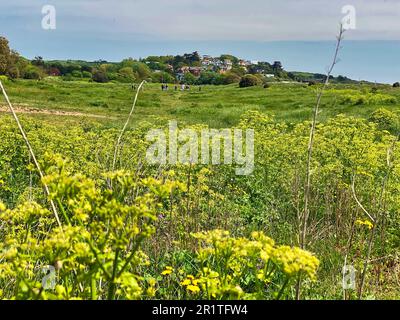 Le Maer Grounds à Exmouth, Devon Banque D'Images