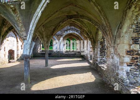 Intérieur d'une partie des ruines de l'abbaye de Waverley près de Farnham dans le Surrey, la première abbaye cistercienne en Angleterre construite en 1128. Banque D'Images