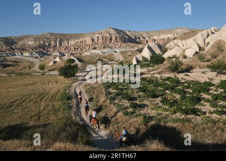 Balade à cheval parmi les rochers d'une forme inhabituelle de roche volcanique dans les environs du village de Göreme dans la région de Cappadoce en Turquie. Banque D'Images