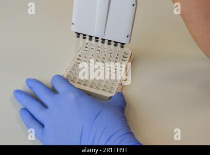 Un scientifique de laboratoire avec un distributeur entre ses mains conduit de l'expérience ou des analyses. Banque D'Images