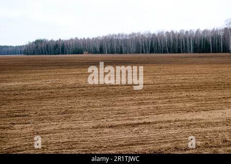 Champ de paysage, terre brune creusée avec des lits, sillons pour le labour, semant le grain sur un fond de forêt éloignée et un ciel bleu au printemps Banque D'Images