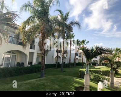 Beau bâtiment arabe musulman en pierre blanche, chalets, maisons sur un fond de verts tropicaux de palmiers avec de grandes feuilles et des plantes dans la r Banque D'Images