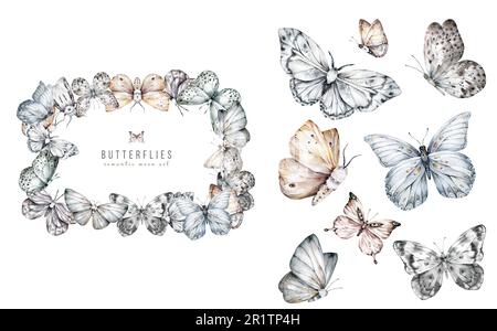 Papillons noirs et blancs aquarelle cadre rectangulaire pour le texte. Plantes et vie de jardin, insectes Banque D'Images