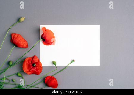 Papier vierge et fleurs de pavot rouges sur fond gris. Concept de vacances, carte de vœux, invitation, maquette. Vue de dessus, plan d'agencement. Banque D'Images