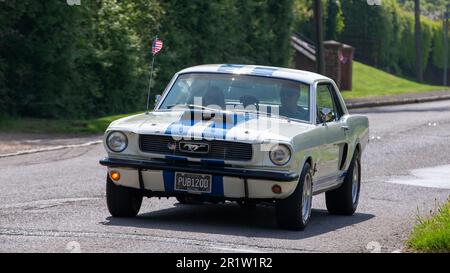 Stoke Goldington, Northants, Royaume-Uni - 14 mai 2023. 1966 Ford Mustang voiture classique à travers un village anglais Banque D'Images