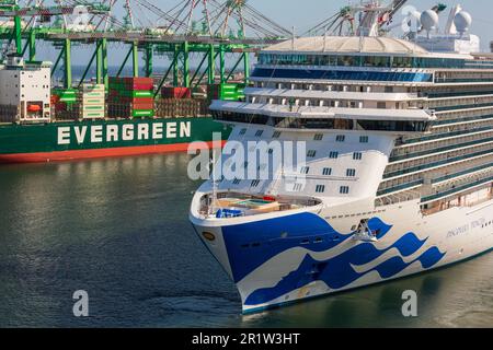 Bateau de croisière Discovery Princess, Port de Los Angeles, San Pedro, Californie du Sud, États-Unis Banque D'Images