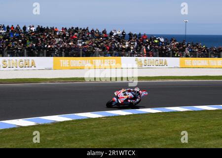 Phillip Island, Australie, 15 octobre 2022. ENEA Bastianini d'Italie à bord du Gresini Racing Ducati lors des qualifications au MotoGP australien 2022 au circuit de Phillip Island sur 15 octobre 2022 à Phillip Island, en Australie. Crédit : Steven Markham/Speed Media/Alay Live News Banque D'Images