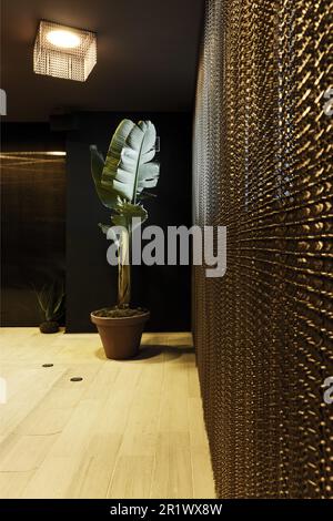 Un mur avec un rideau métallique dans une pièce avec une plante tropicale dans un grand pot Banque D'Images