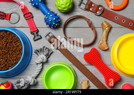 Composition de pose plate avec colliers pour chiens, jouets et nourriture sur table en bois gris Banque D'Images