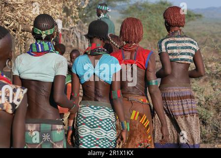 Omo Valley, Éthiopie – 11.19.2022 : les femmes de la tribu Hamar ont été marquées du chant rituel foulant et de la danse lors de la cérémonie de saut à la taureau Banque D'Images