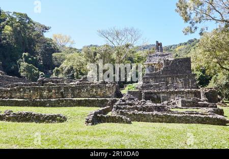 Les incroyables ruines de la jungle du Chiapas, au Mexique, étaient l'une des plus grandes villes de l'ancienne civilisation maya Banque D'Images