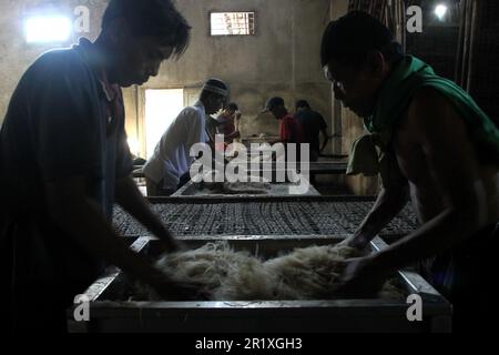 Bantul, Yogyakarta, Indonésie. 16th mai 2023. Les travailleurs produisent des nouilles à base de farine de tapioca dans une usine de mie lethek du village de Sandakan, à Bantul, région spéciale de Yogyakarta. En un jour, l'usine de mie lethek, qui existe depuis 1940, est capable de produire jusqu'à 900 kilogrammes de nouilles et est commercialisée dans plusieurs régions d'Indonésie au prix de RP.95 000 ou de US$6,42 par cinq kilogrammes. (Credit image: © Angga Budhiyanto/ZUMA Press Wire) USAGE ÉDITORIAL SEULEMENT! Non destiné À un usage commercial ! Crédit : ZUMA Press, Inc./Alay Live News Banque D'Images