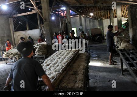 Bantul, Yogyakarta, Indonésie. 16th mai 2023. Les travailleurs produisent des nouilles à base de farine de tapioca dans une usine de mie lethek du village de Sandakan, à Bantul, région spéciale de Yogyakarta. En un jour, l'usine de mie lethek, qui existe depuis 1940, est capable de produire jusqu'à 900 kilogrammes de nouilles et est commercialisée dans plusieurs régions d'Indonésie au prix de RP.95 000 ou de US$6,42 par cinq kilogrammes. (Credit image: © Angga Budhiyanto/ZUMA Press Wire) USAGE ÉDITORIAL SEULEMENT! Non destiné À un usage commercial ! Crédit : ZUMA Press, Inc./Alay Live News Banque D'Images