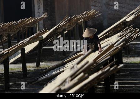 Bantul, Yogyakarta, Indonésie. 16th mai 2023. Un travailleur sèche des nouilles pendant la production de nouilles faites à partir de farine de tapioca dans une usine de mie lethek dans le village de Sandakan, Bantul, région spéciale de Yogyakarta. En un jour, l'usine de mie lethek, qui existe depuis 1940, est capable de produire jusqu'à 900 kilogrammes de nouilles et est commercialisée dans plusieurs régions d'Indonésie au prix de RP.95 000 ou de US$6,42 par cinq kilogrammes. (Credit image: © Angga Budhiyanto/ZUMA Press Wire) USAGE ÉDITORIAL SEULEMENT! Non destiné À un usage commercial ! Crédit : ZUMA Press, Inc./Alay Live News Banque D'Images