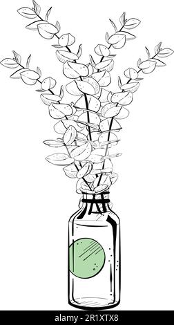 Illustration vectorielle d'une bouteille avec étiquette et bouquet de tiges d'eucaliptus. Contour noir du conteneur avec liquide, dessin graphique. Pour les cartes postales Illustration de Vecteur
